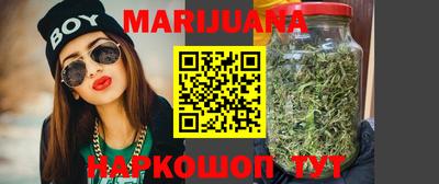 гашик Будённовск