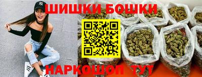 гашик Будённовск